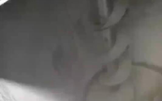 双螺旋混合机